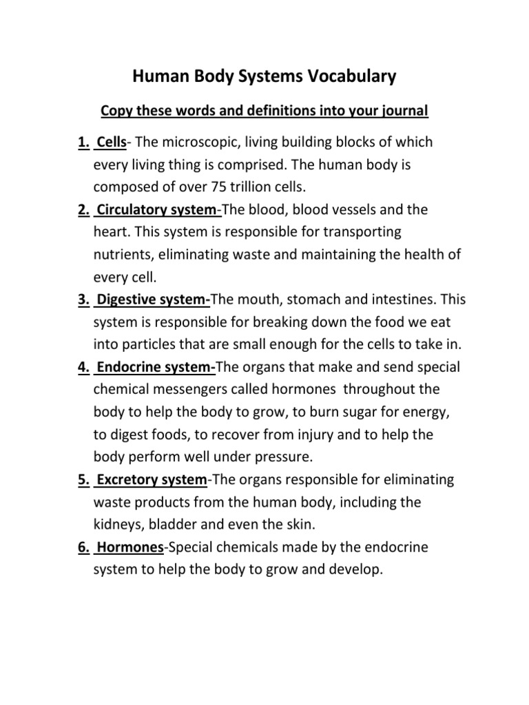 Human Body Systems Vocabulary PDF