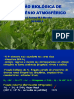 1aula Fixaçao Biologica de N PDF