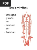 Blood Supply of Brain