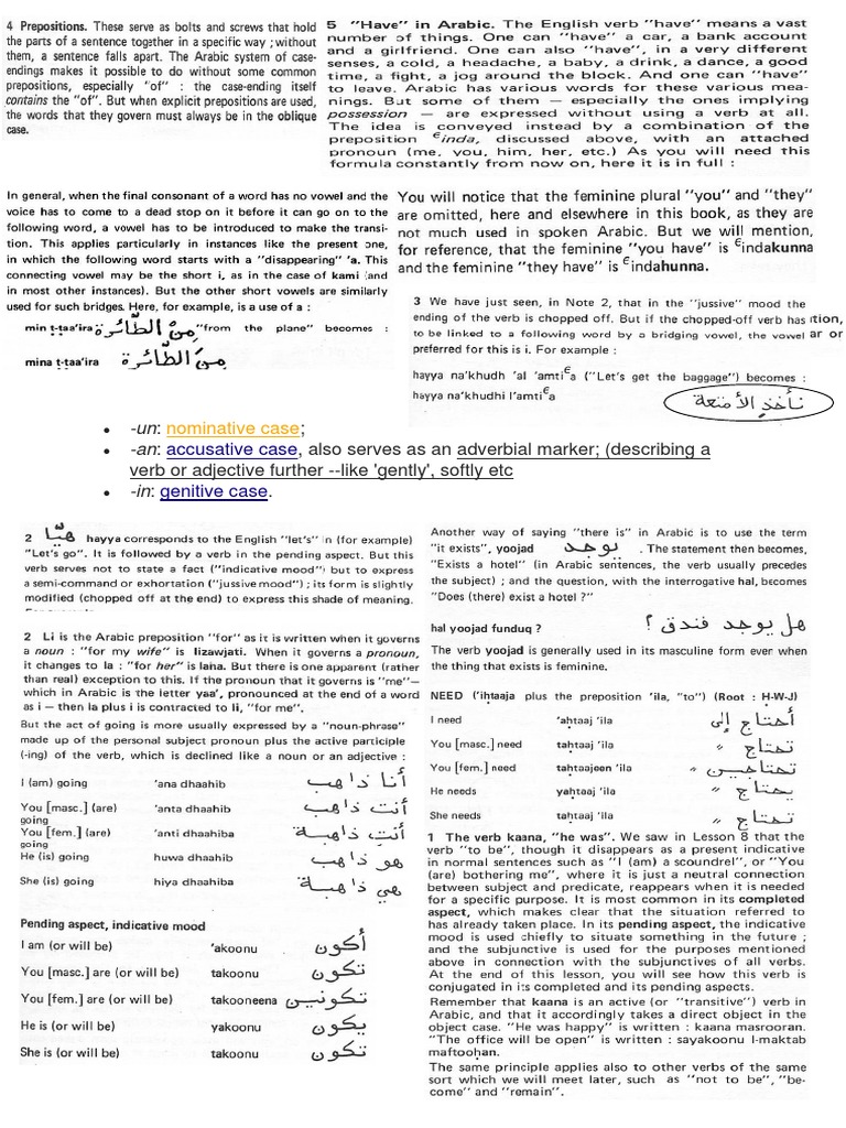 Language Case Endings Guide | PDF