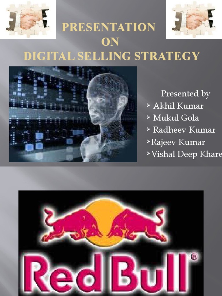 DSS Final Ppts | PDF | Target Audience | Blog