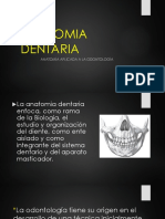 Anatomia Aplicada A La Odontologia