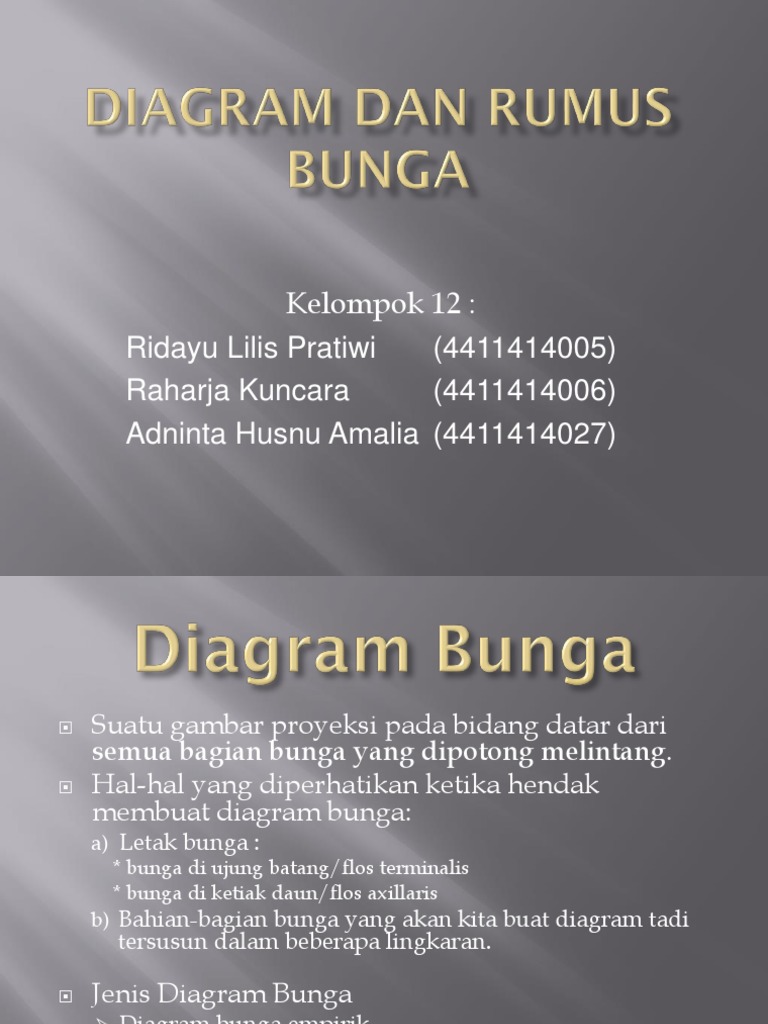 Gambar Diagram Bunga Kembang Sepatu GAMBAR BUNGA