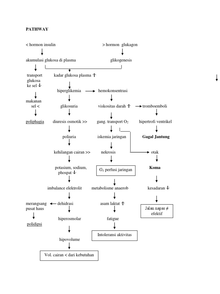 Pathway HHNK | PDF