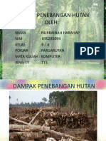 Dampak Penebangan Hutan