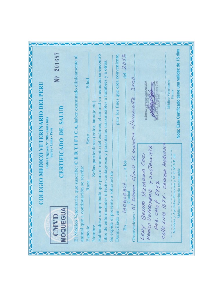 Carnet 1 | PDF