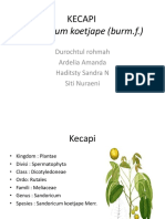 KECAPI (Autosaved)