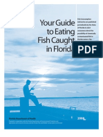 Your Guide to Eating Fish Caught in Florida