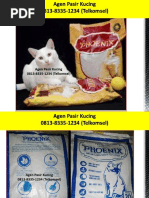 Download Cara Membuat Pasir Kucing Sendiri 0813-8335-1234 Telkomsel by pasir kucing SN361262920 doc pdf