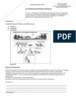 Flujo de energía.pdf