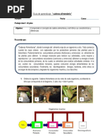Guiadeaprendizajecadenaalimentaria 121212173300 Phpapp01