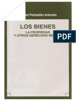 Los Bienes - Daniel Peñailillo