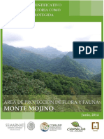 EPJ APFF Monte Mojino 23junio2014 PDF