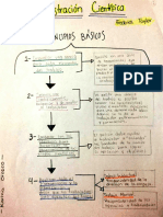 Organizadores Gráficos 