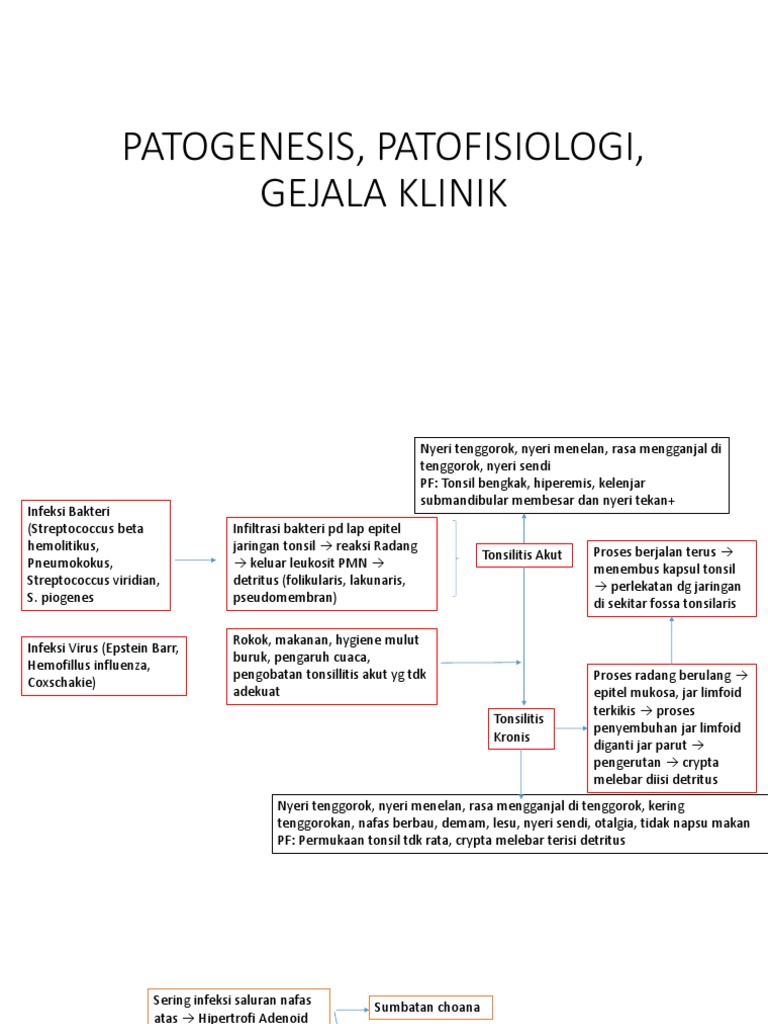 Patogenesis Adenotonsilitis Kronis Osas