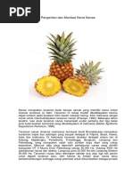 Download Pengertian Dan Manfaat Serat Nanas by Nazeem Bagez SN361290503 doc pdf