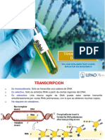 Transcripción Del ADN