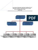 Struktur Organisasi Mahasiswa Praktik Keperawatan Komunitas Di Desa Tandui Kecamatan Tapin