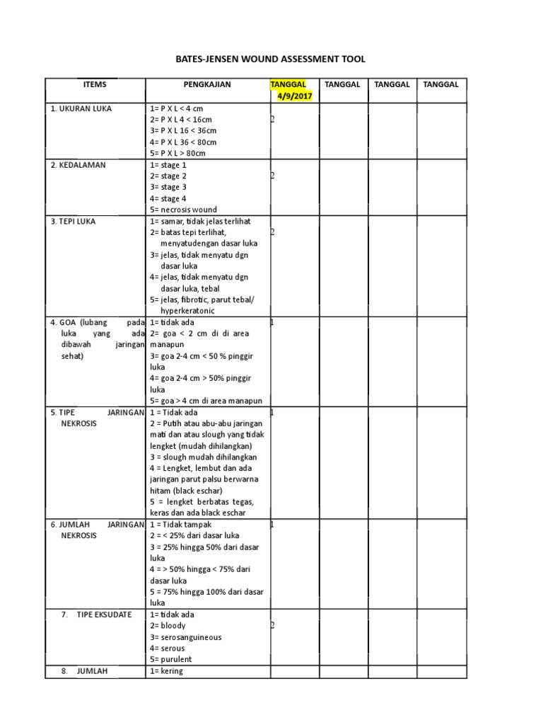 Bates-Jensen Wound Assessment Tool | PDF