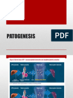 Patogenesis Manifestasi ITP