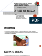 DC Equinos.pdf