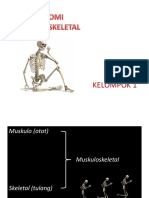 Ppt Anatomi Muskuloskeletal Klp 1