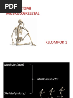 Ppt Anatomi Muskuloskeletal Klp 1