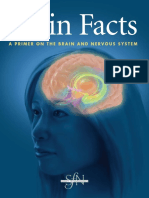 Brain Facts - A Primer On The Brain and Nervous System 6th Edition (Malestrom) PDF