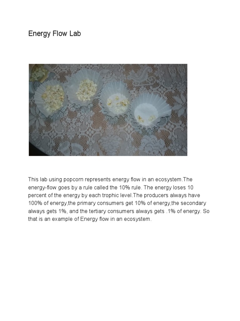 Energy Flow Lab 3 PDF