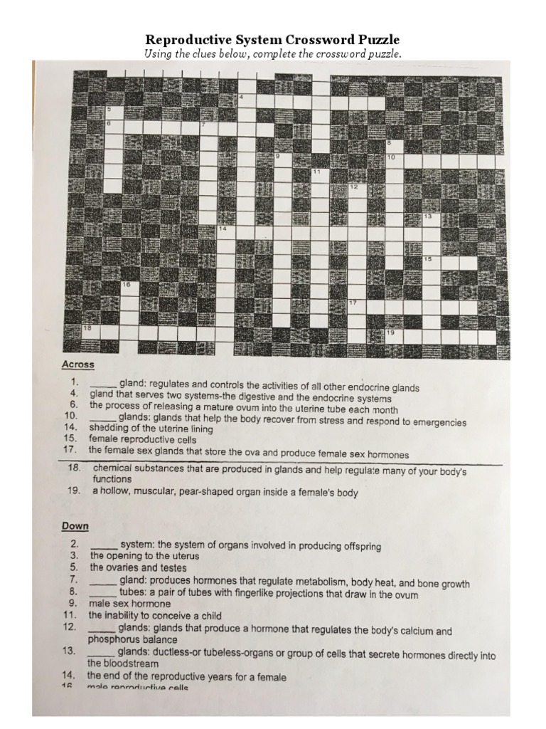 Crossword Puzzle | PDF