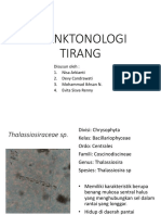 Planktonologi Pulau Tirang