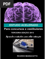 Ricardo Massucatto - Estudo Acelerado Para Concursos
