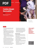 Cerenia Dosage Chart for Cats and Dogs | PDF | Drugs | Pharmacology