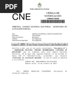  El Partido Intransigente no podrá usar más la palabra "Protectora"