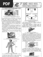 Download Biologia - Pr-Vestibular Impacto - Substncias Orgnicas - Carboidratos I by Biologia Impacto SN3613404 doc pdf