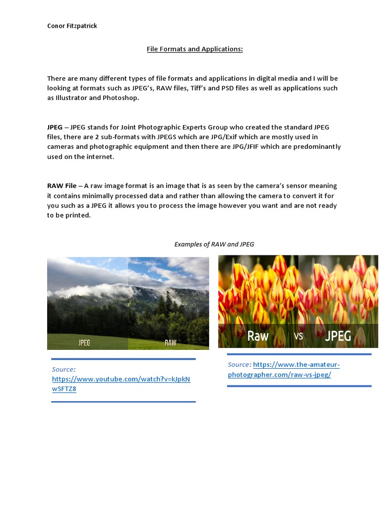File Formats and Applications | PDF | Adobe Photoshop | Raw Image Format