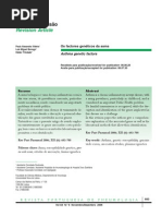 Os factores genéticos da asma.