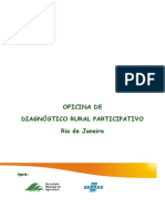 Manual_DRP.pdf