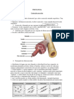 FISIOLOGIA Contração Muscular