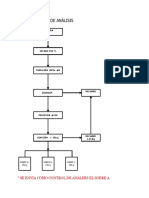 Flujo Duplicado Analisis