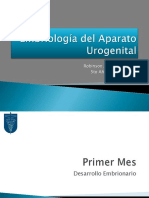 Embriologadelaparatourogenital 100623195451 Phpapp02