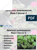 Ralstonia Solanacearum Raza3 Bioaver2 PDF