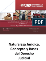 02 Naturaleza Jurídica Del Der Judicial (1)