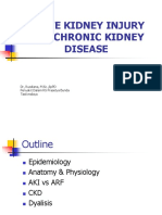 Acute Kidney Injury - Chronic Kidney Desease