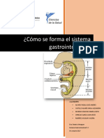 Formación del sistema GI