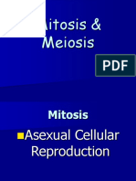 mitosis  meiosis  p p  2
