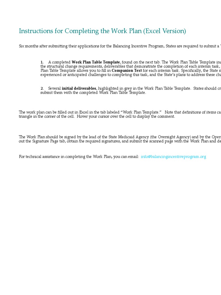 Instructions For Completing The Work Plan (Excel Version) | PDF ...