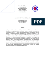188230346-Informe-Lab2-Reynolds.pdf