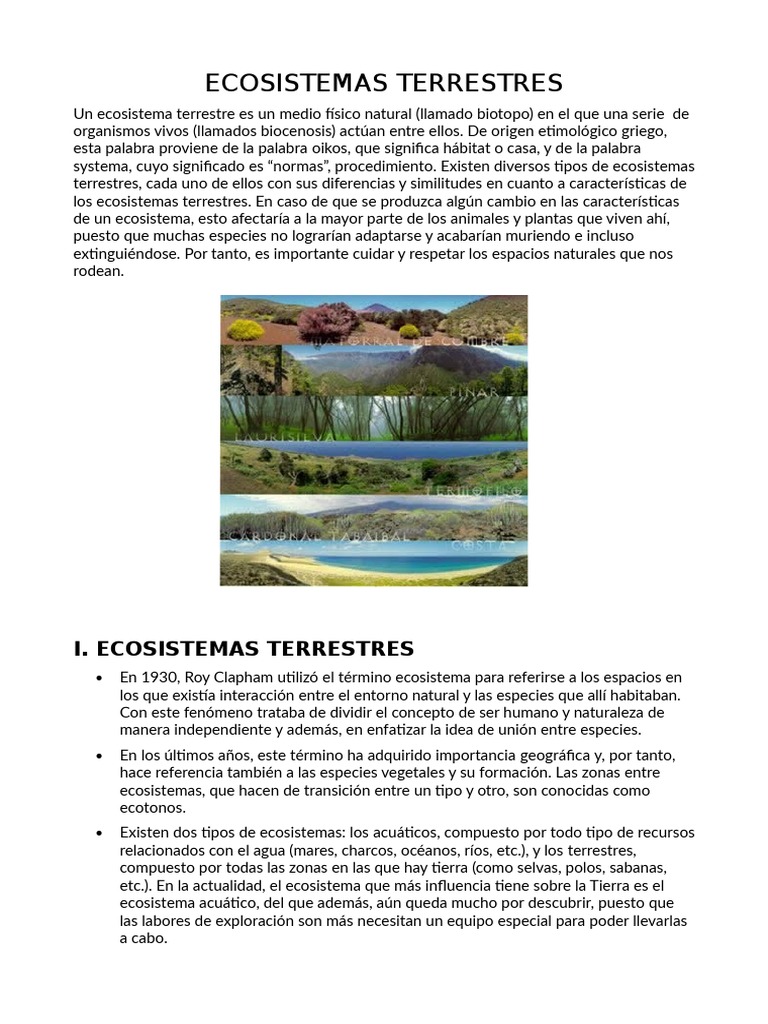Tipos y características de ecosistemas terrestres | PDF | Ecosistema ...
