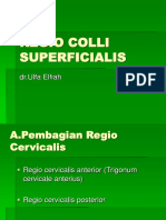 Regio Colli Superficialis